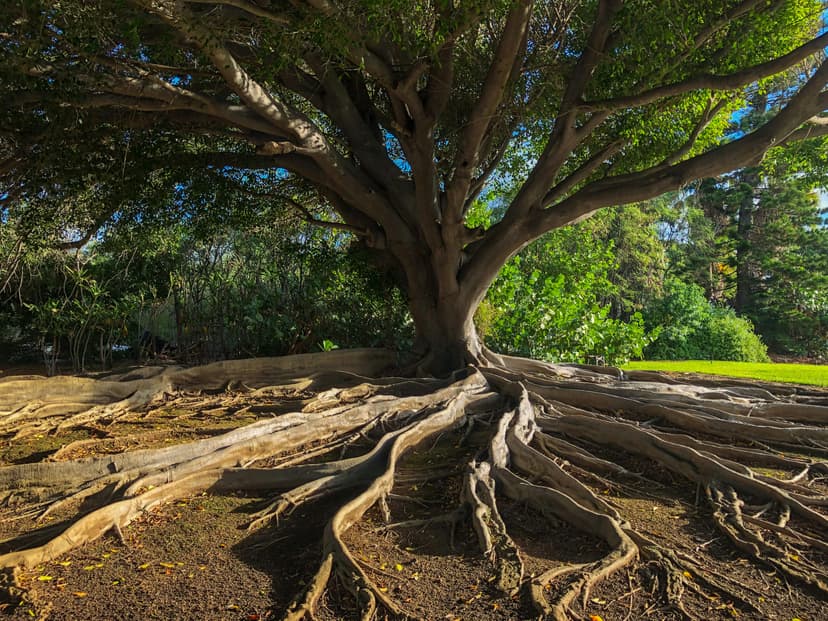 From Campaigns to Ecosystems